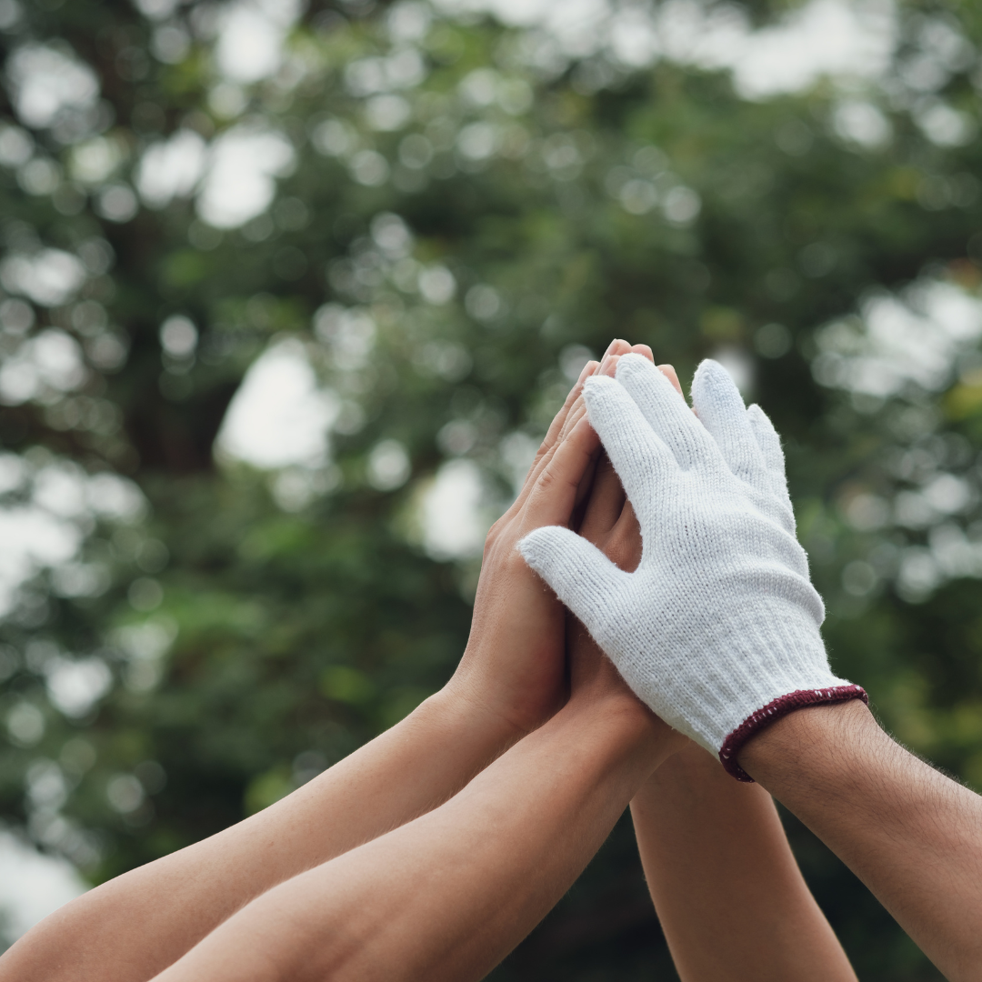 Why Environmentally Friendly Cleaning Products Are Important
