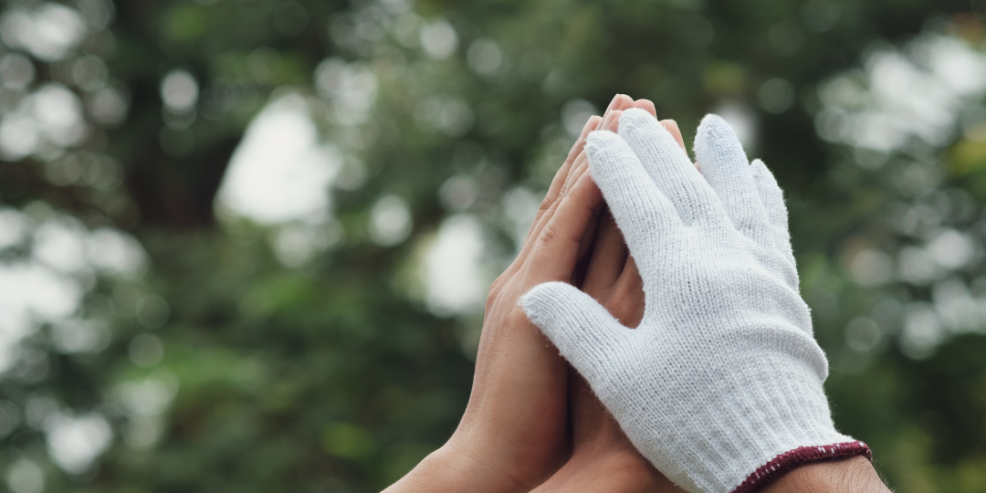 Why Environmentally Friendly Cleaning Products Are Important